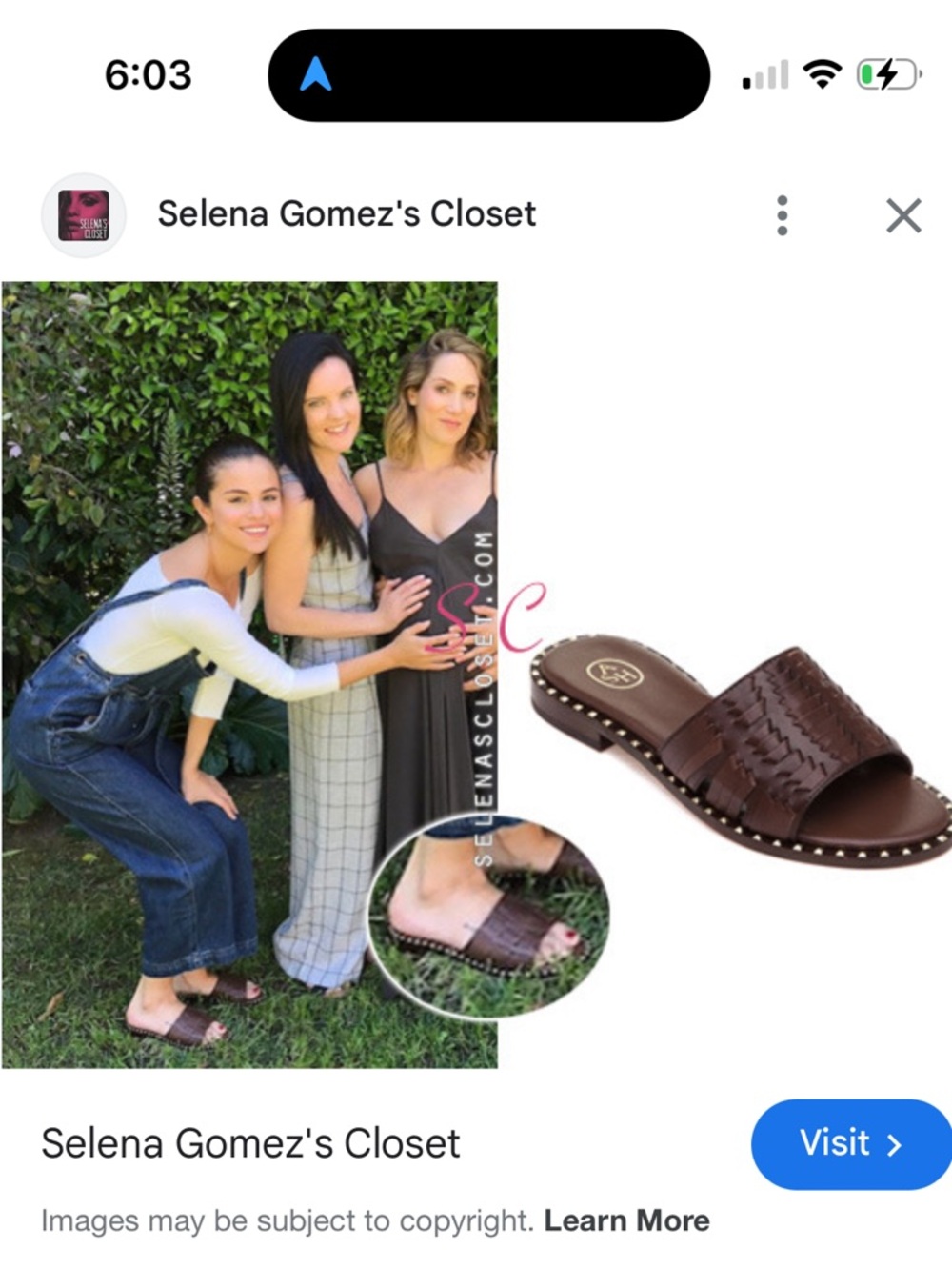 Ash Playa Sandals in Dark Brown